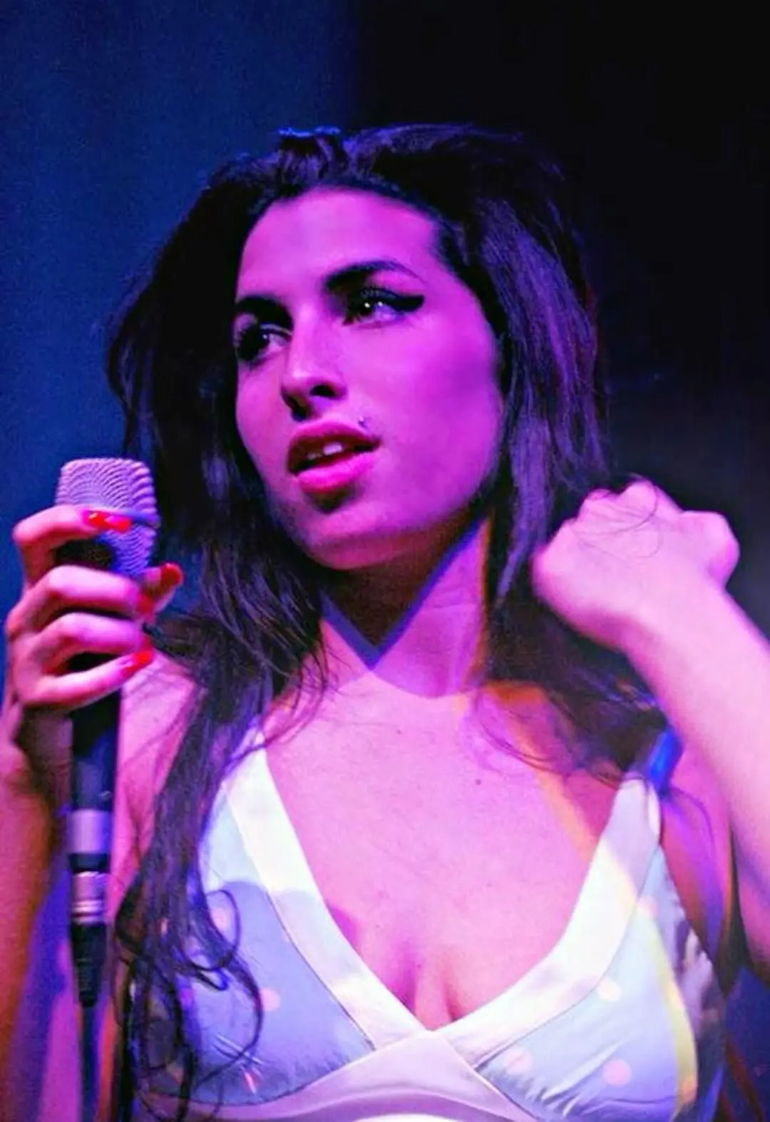 Život a odkaz Amy Winehouse: Hvězdná dráha a její odkaz
