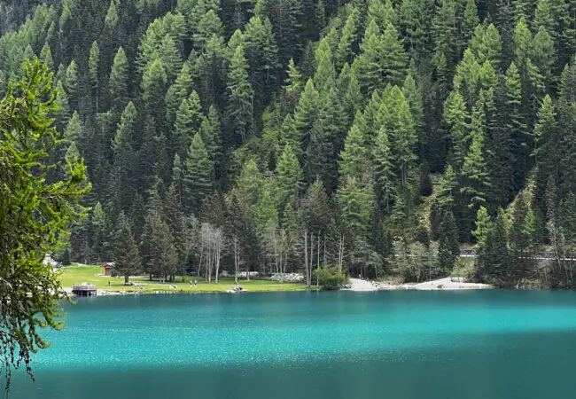 Donald Trump: Aktuální situace a její význam