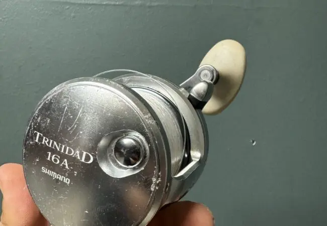 Donald Trump: Aktuální situace a její význam