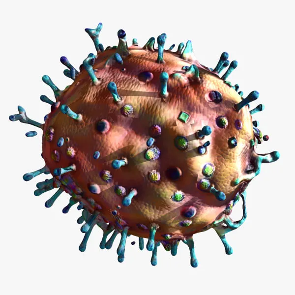 bornavirus — CZ news