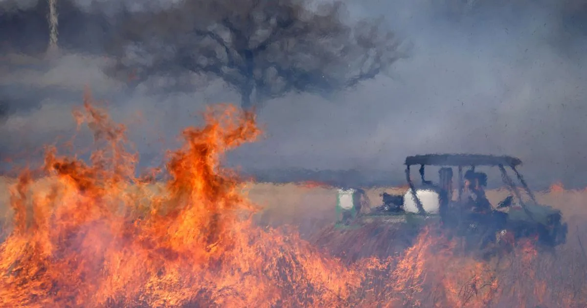 brooke burns — CZ news