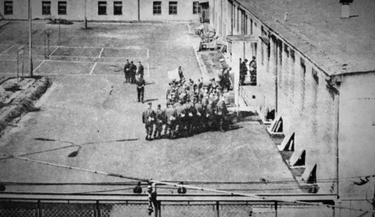 liberecká drbna — CZ news