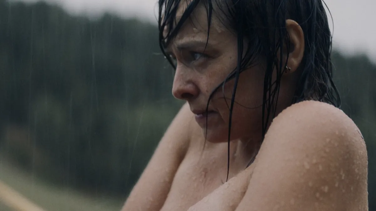 rok vdovy — CZ news