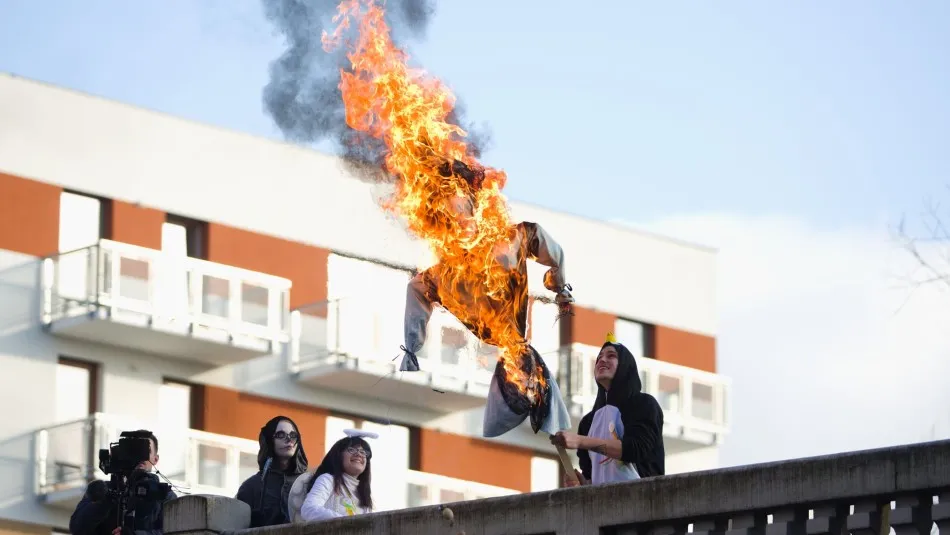zoo plzeň — CZ news