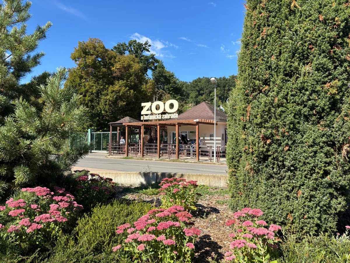 zoo plzeň — CZ news
