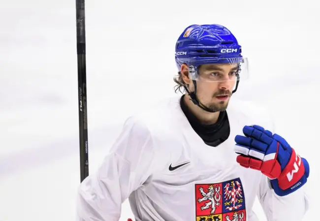 David Tomášek se vrátil do Pardubic po náročné sezoně