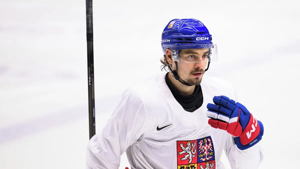 david tomášek — CZ news