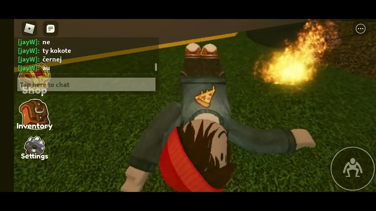 fanoušek — CZ news