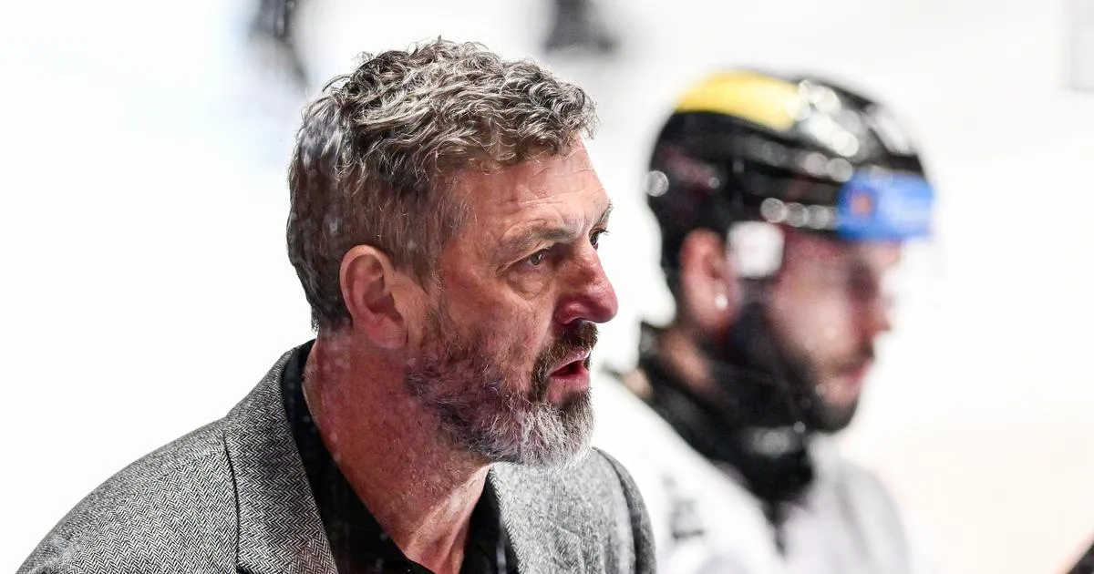 jaroslav nedvěd — CZ news