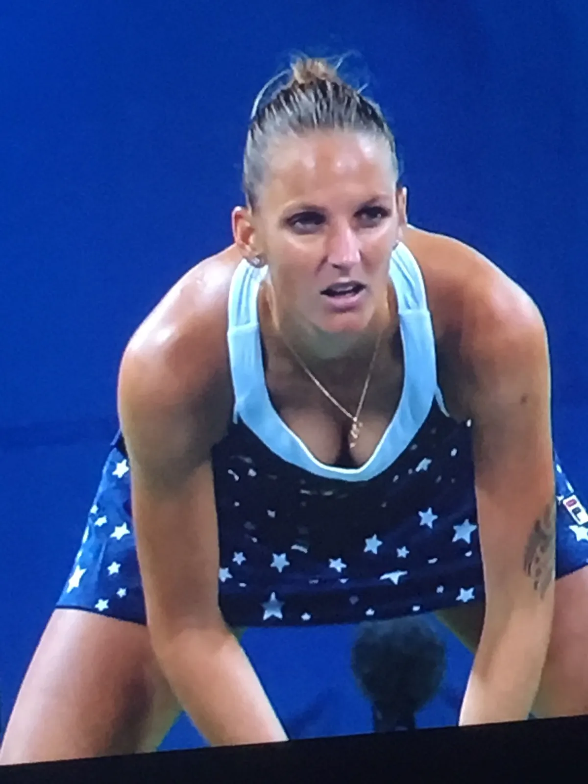 karolína plíšková — CZ news