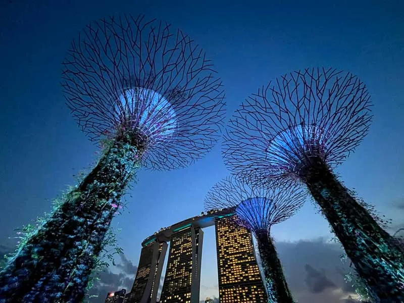 singapur — CZ news