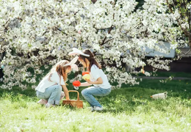 Televizní program: Velikonoční speciály na ČT, Nově a Primě