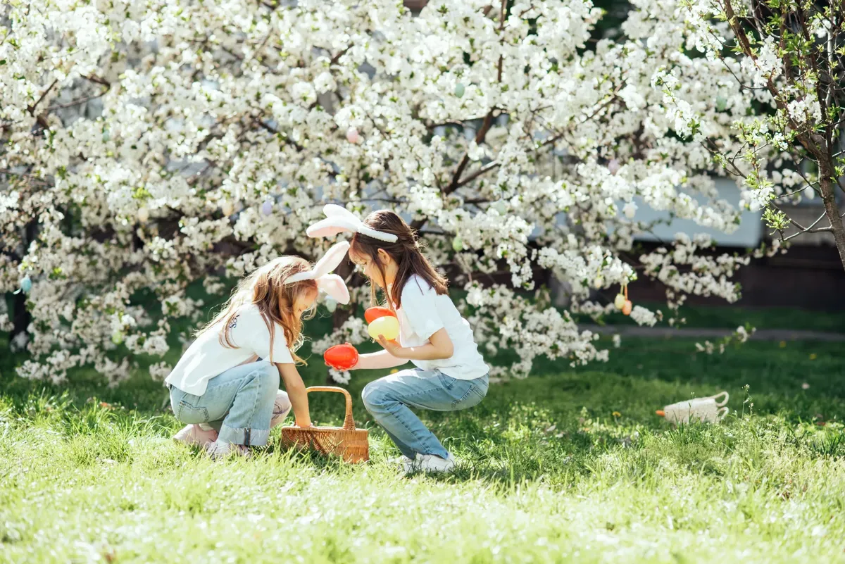 televizní program — CZ news