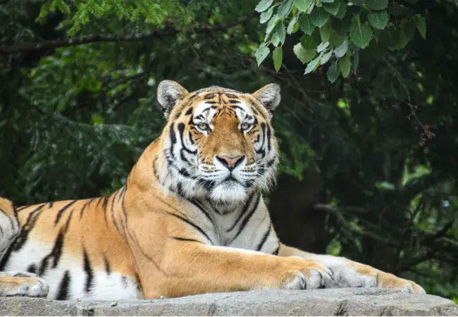 Roman Červenka: Novinky o jeho osobním životě a kariéře