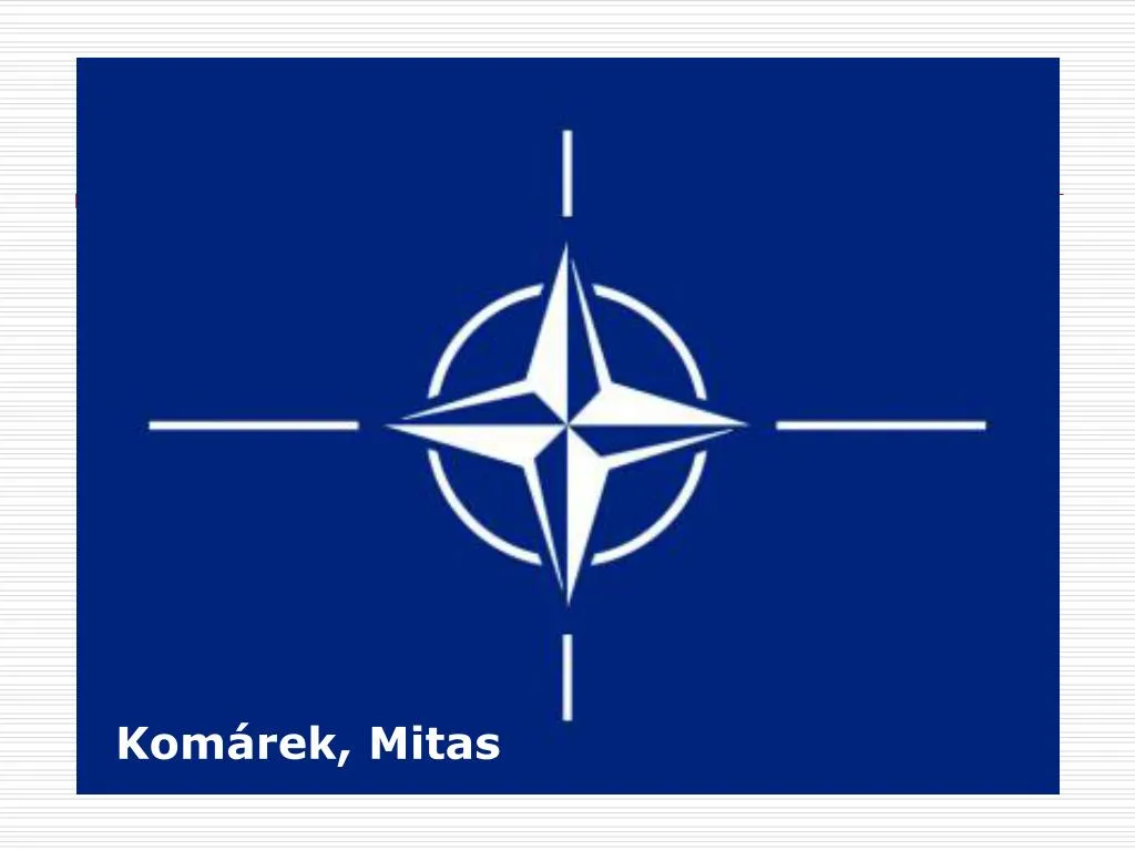 Severoatlantická aliance: Polsko plánuje zvýšení armády